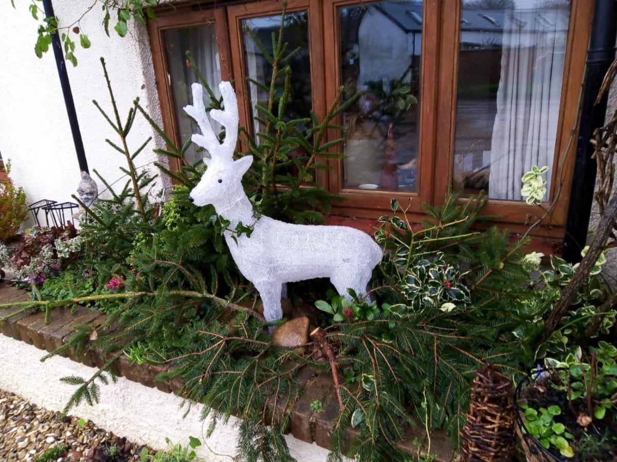 Charming Gnome Cottage In Devon Near Sidmouth Ottery St Mary Esterno foto