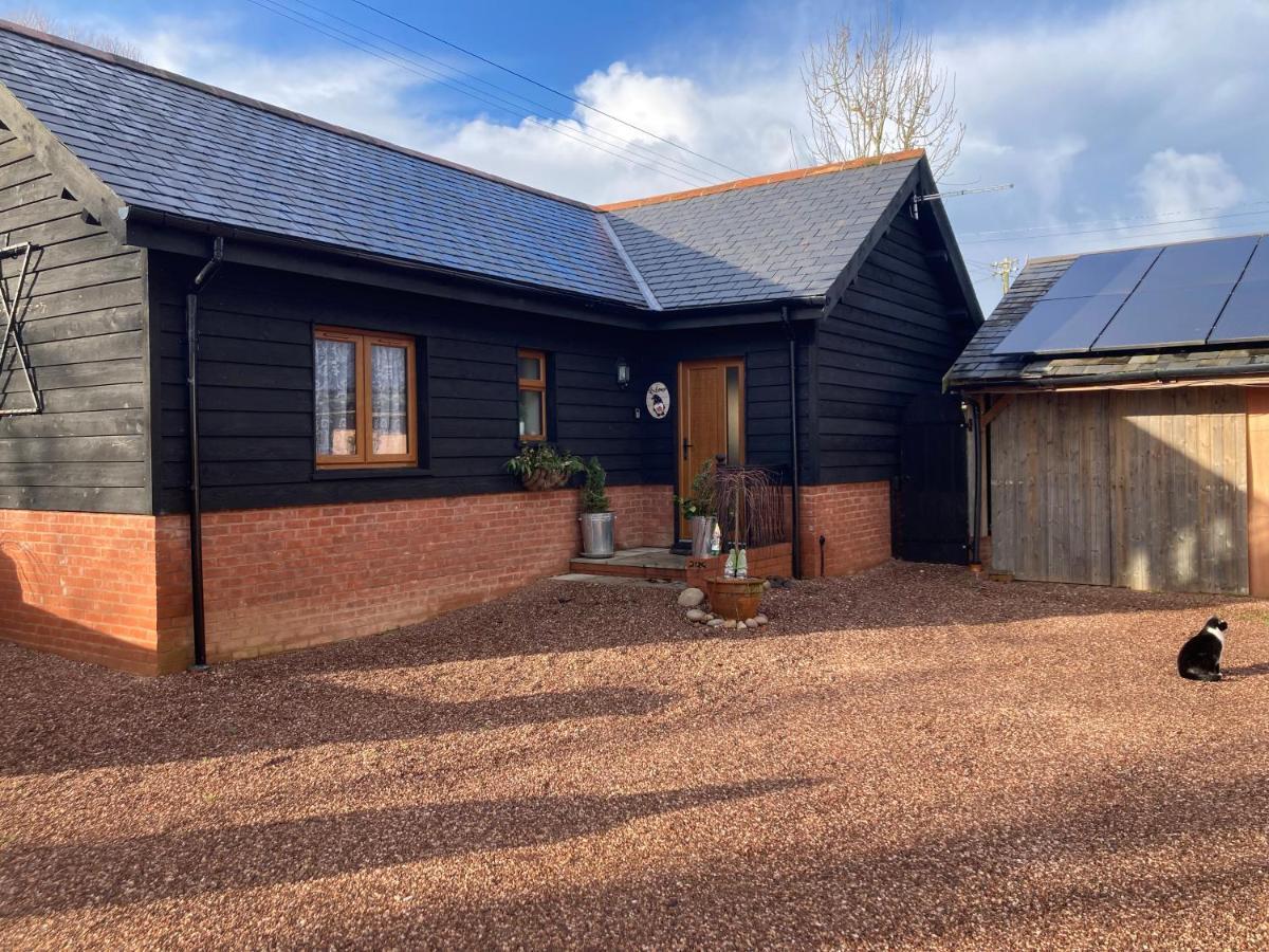 Charming Gnome Cottage In Devon Near Sidmouth Ottery St Mary Esterno foto